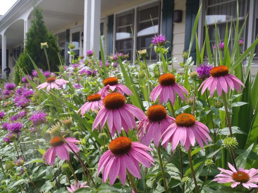 Glass House Inn Erie Near I-90 & I-79 ภายนอก รูปภาพ