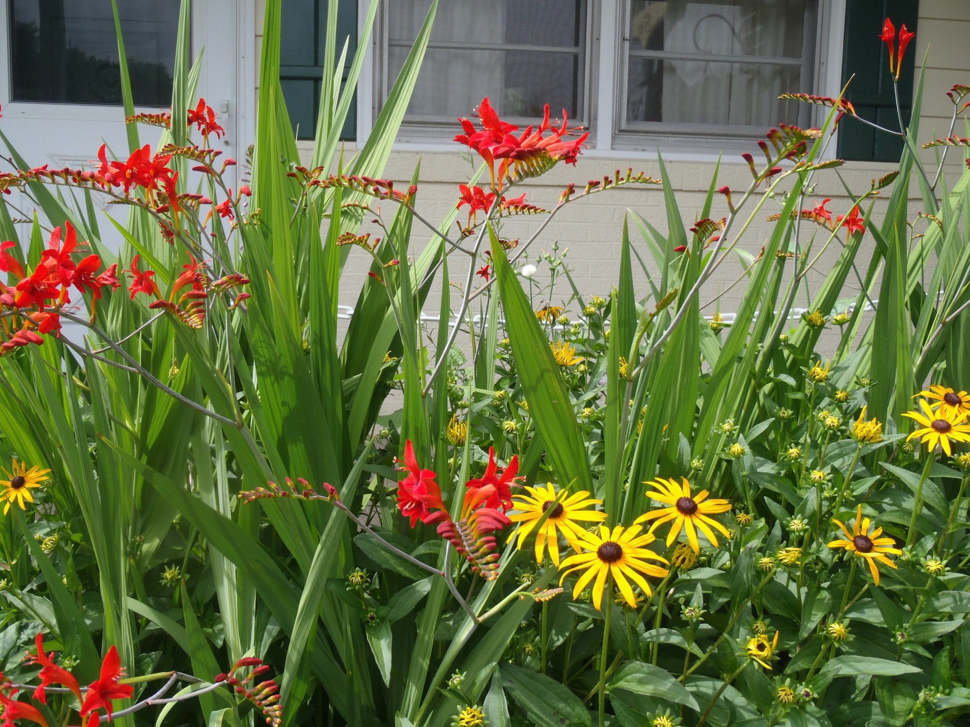 Glass House Inn Erie Near I-90 & I-79 ภายนอก รูปภาพ